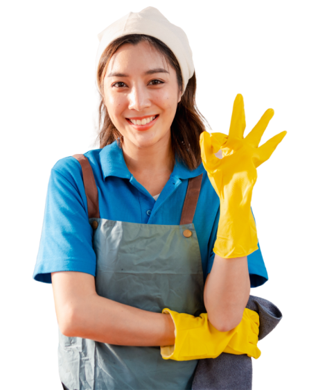 house-cleaning-solutions house-cleaning-solutions